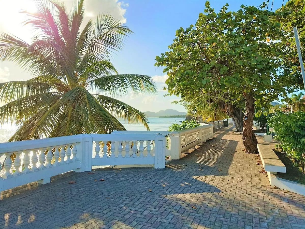 Waterside Inn Vieques Auberge de jeunesse