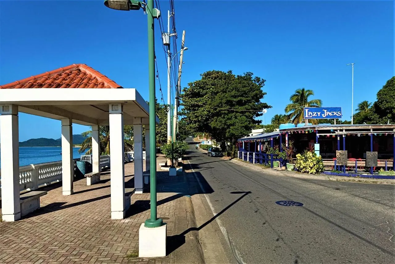 Auberge de jeunesse Waterside Inn Vieques