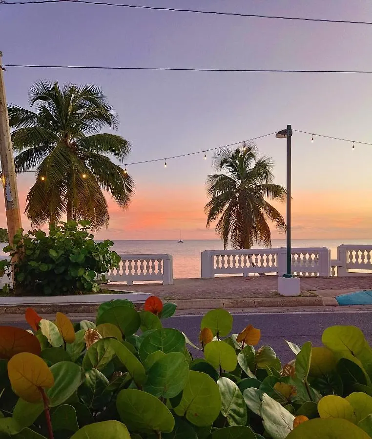 Auberge de jeunesse Waterside Inn Vieques